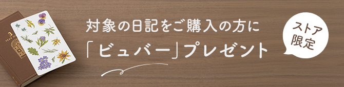 ビュバープレゼント